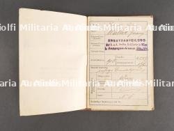 Lot Autriche WW1 — miniature 10