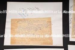 Photos de presse US. US press photographs. — miniature 7