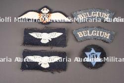 Insignes RAF Belge. Belgian RAF insignia. — miniature 1