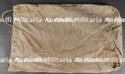 Sac Domestic Mail — miniature 1