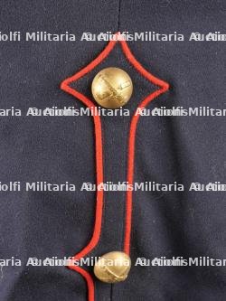 Vareuse belge. Belgian tunic — photo 10