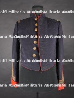 Vareuse belge. Belgian tunic — photo 1