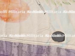 Drapeaux japonais. Japanese flags — photo 10