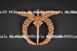 Brevet de pilote Tchèque. Czechoslovak pilot’s brevet. — photo 1