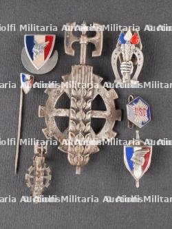 Insignes de Vichy. Vichy insignia.