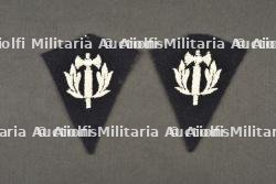 Paire de pattes de col Police sous Vichy et GMR. Pair of collar tabs for Vichy Police and GMR — photo 1