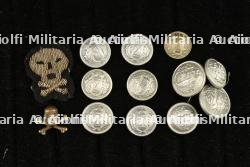 Un lot de boutons de police Vichy. A lot of Vichy police buttons.