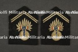 Pattes de col pour Vareuse de la Garde Personnelle du Chef de l'État. Collar Tabs for Tunic of the Chief of State’s Personal Guard.