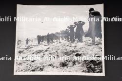 Photo de presse Utah Beach. — photo 1