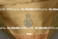 Calots britannique. — photo 5