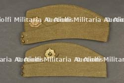 Calots britannique.