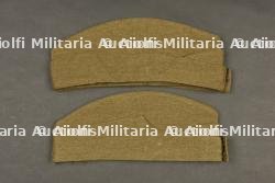 Calots britannique. — photo 8