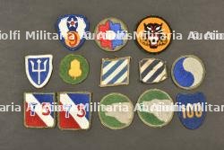 Insignes de manche US.