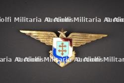 Insigne FA FL. FAFL insignia.