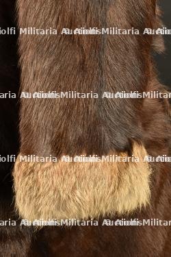 Manteau de vol — photo 4