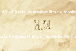 Ensemble officier artillerie — miniature 4