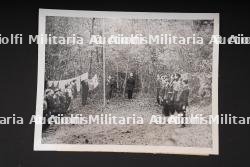 Photo de presse FFI. FFI press photograph. — photo 1
