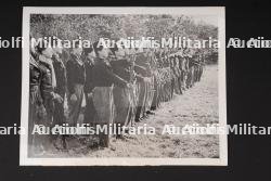 Photo de presse FFI. FFI press photograph.