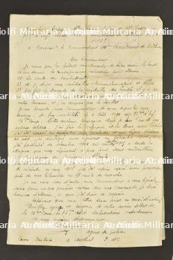 Ensemble de poilus — photo 21