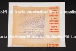 Photo de presse FFI. FFI press photograph. — miniature 2