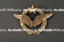 Brevet de pilote