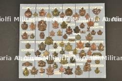 Planche 7 d'insignes canadiens ww1 ex collection André Coillot — photo 1