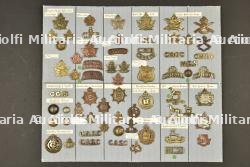 Planche 10 d'insignes canadiens ww1 ex collection André Coillot — photo 1