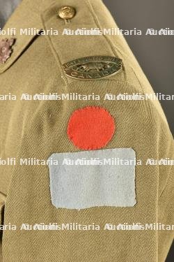 Tunique du Captain P. B. Johnson montée avec insignes du 1st Canadian Mounted Rifles — miniature 12