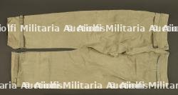 Sur pantalon allemand feldgrau. German feldgrau overtrousers. — photo 3