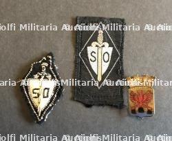 Insignes du SOL — miniature 1