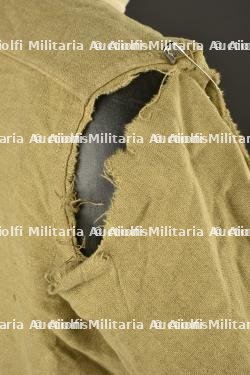 Chemise britannique. — photo 4