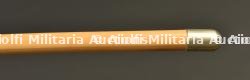 Stick d'officier du Queen's Royal Regiment. — photo 2