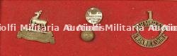 Ensemble d'insignes du 1st Birmingham Pals Battalion Royal Warwickshire. Badge grouping of the 1st Birmingham Pals Battalion Royal Warwickshire Regiment — photo 1
