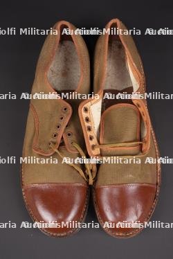 Chaussure tropicale canadienne.  Canadian tropical shoes. — photo 2