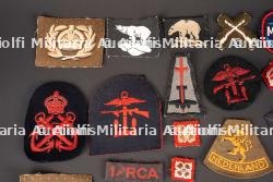 Insignes britannique. British insignias. — photo 2