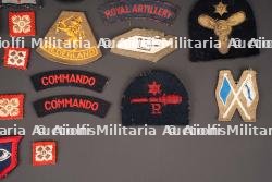 Insignes britannique. British insignias. — photo 4