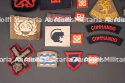 Insignes britannique. British insignias. — photo 5