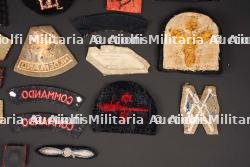 Insignes britannique. British insignias. — photo 9