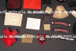 Insignes britannique. British insignias. — miniature 10