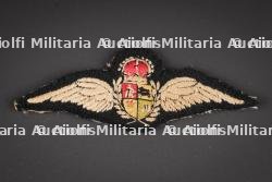 Brevet de pilote Sud Africain. South African pilot’s brevet. — photo 1