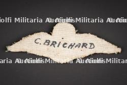 Brevet de pilote Sud Africain. South African pilot’s brevet. — photo 2