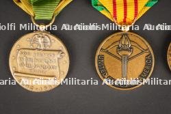 Médailles américaine. US medals. — miniature 5