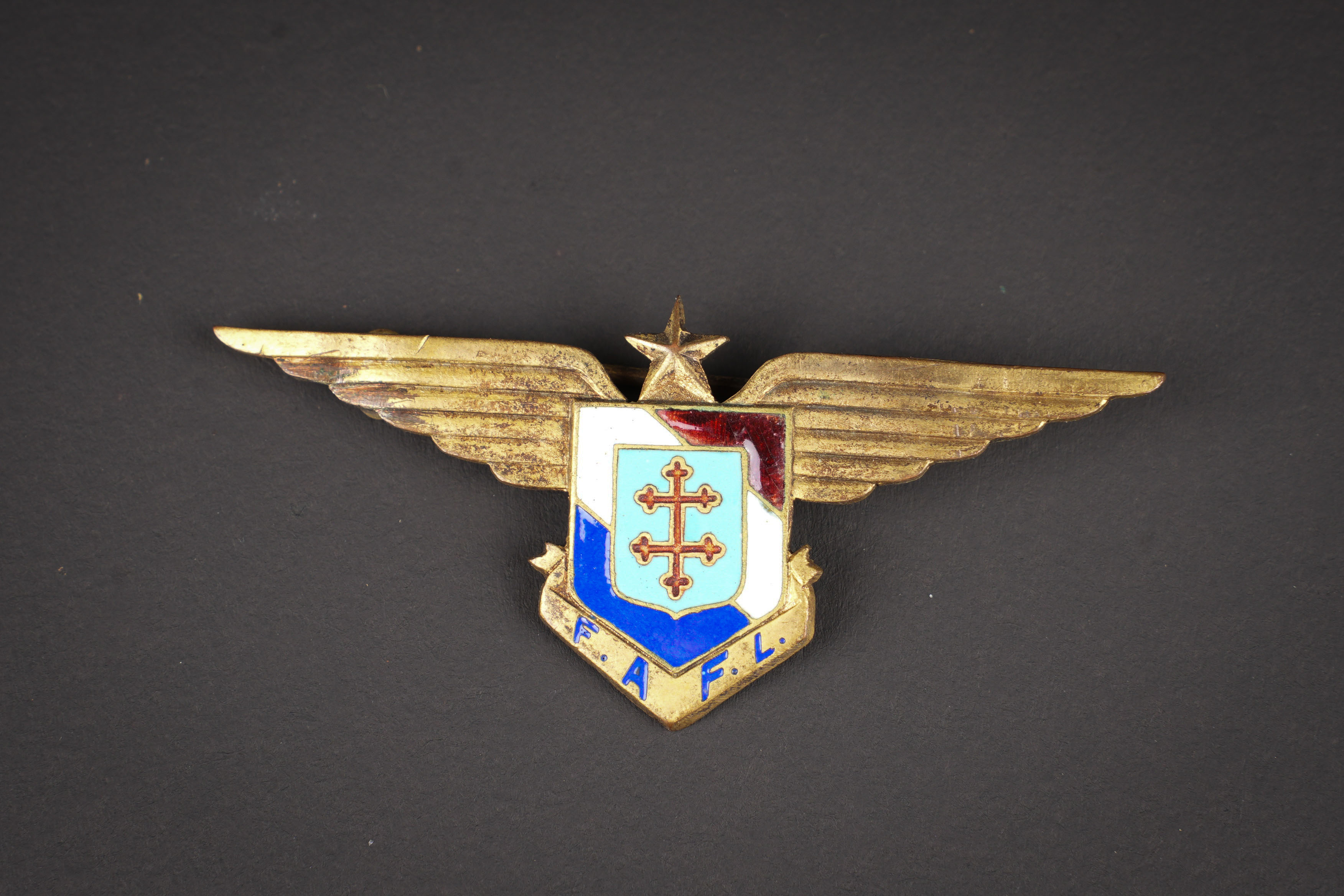 Insigne FA FL. FAFL insignia. — photo 1
