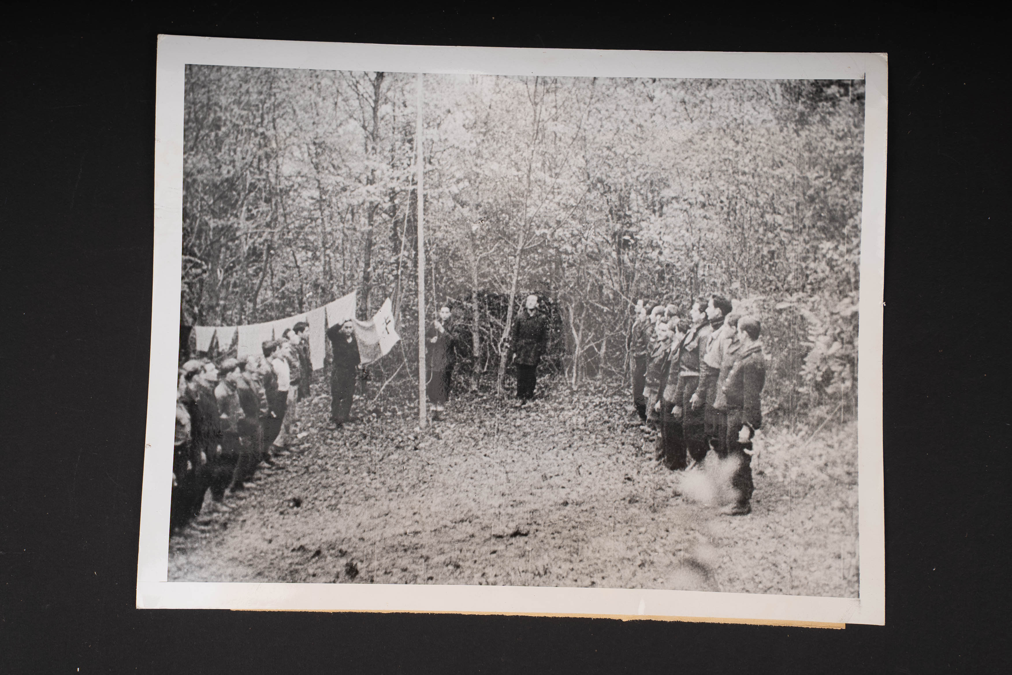 Photo de presse FFI. FFI press photograph. — photo 1
