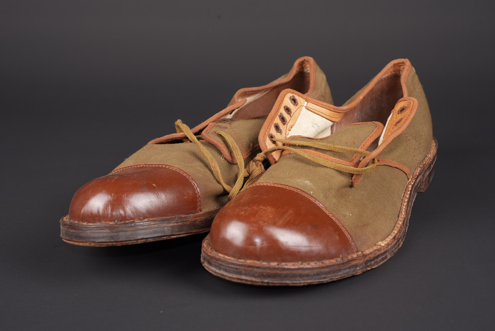 Chaussure tropicale canadienne.  Canadian tropical shoes. — photo 1