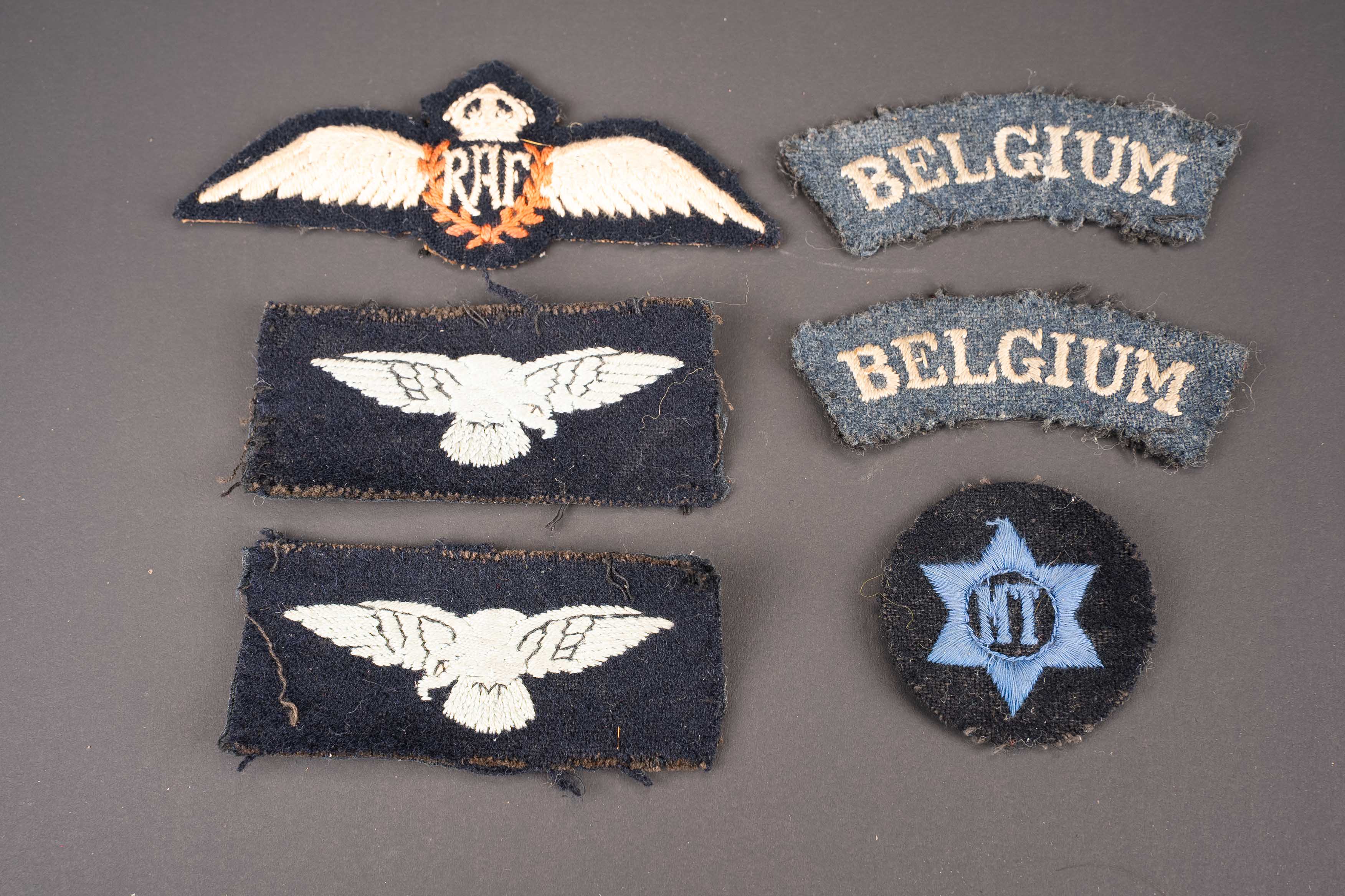 Insignes RAF Belge. Belgian RAF insignia. — photo 1