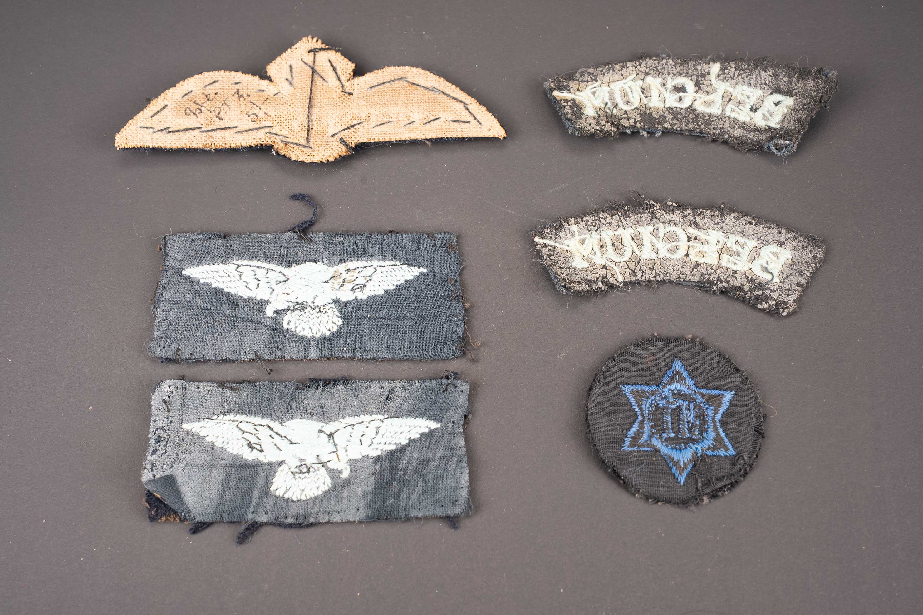 Insignes RAF Belge. Belgian RAF insignia. — photo 2