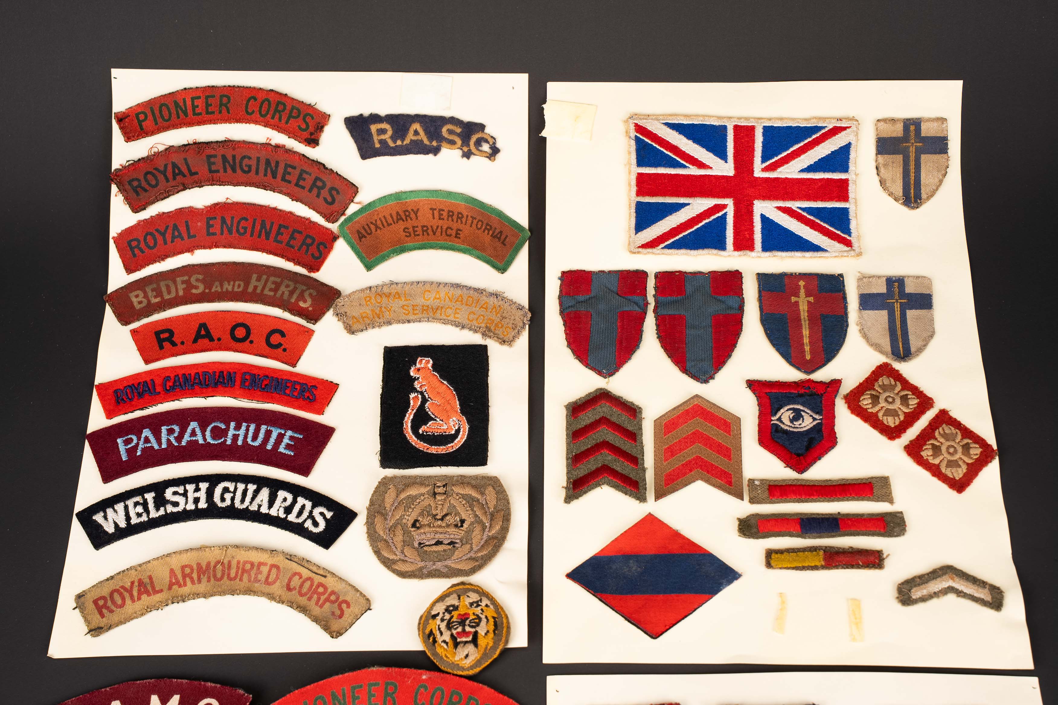 Titles britannique. British insignia. — photo 2