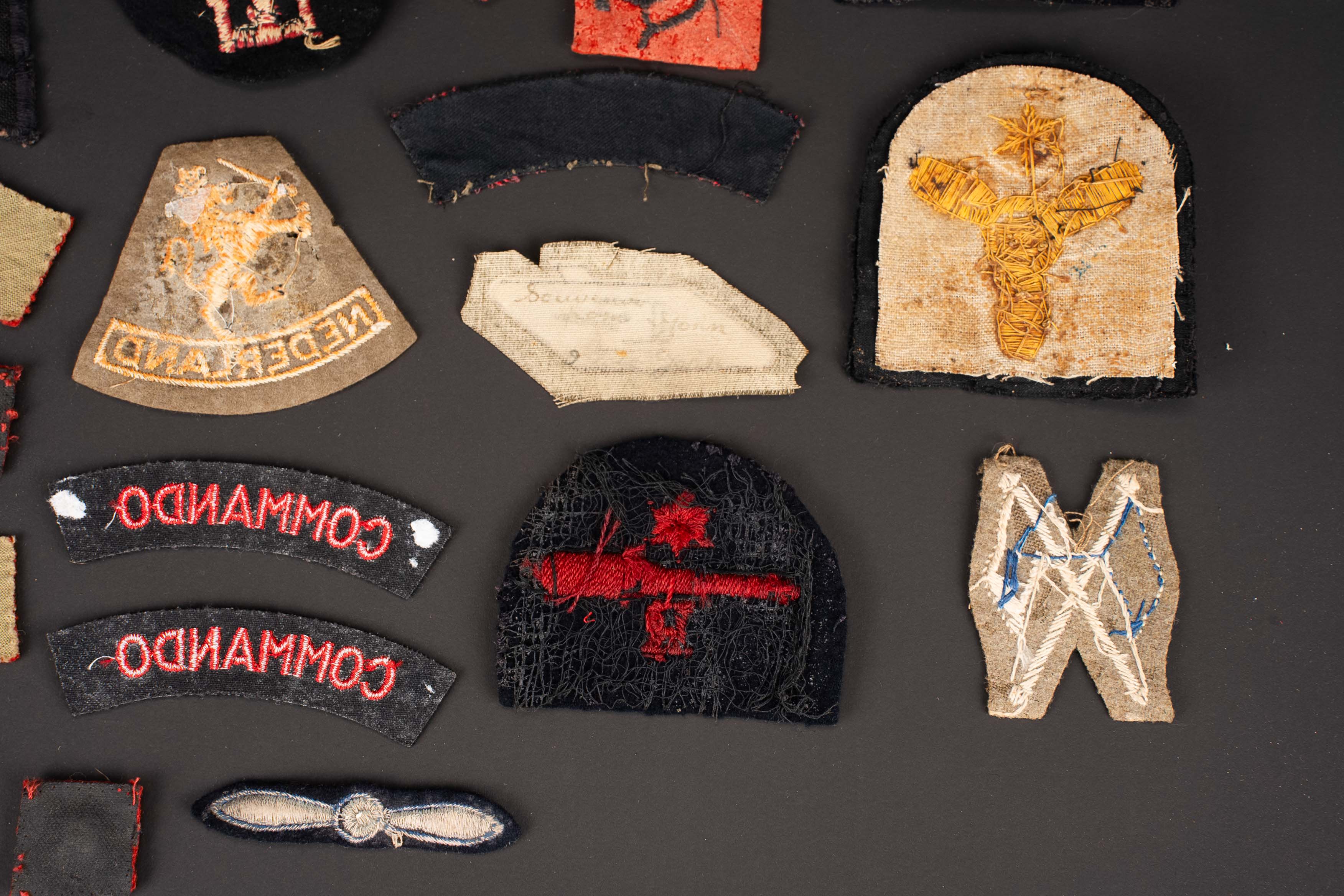Insignes britannique. British insignias. — photo 9