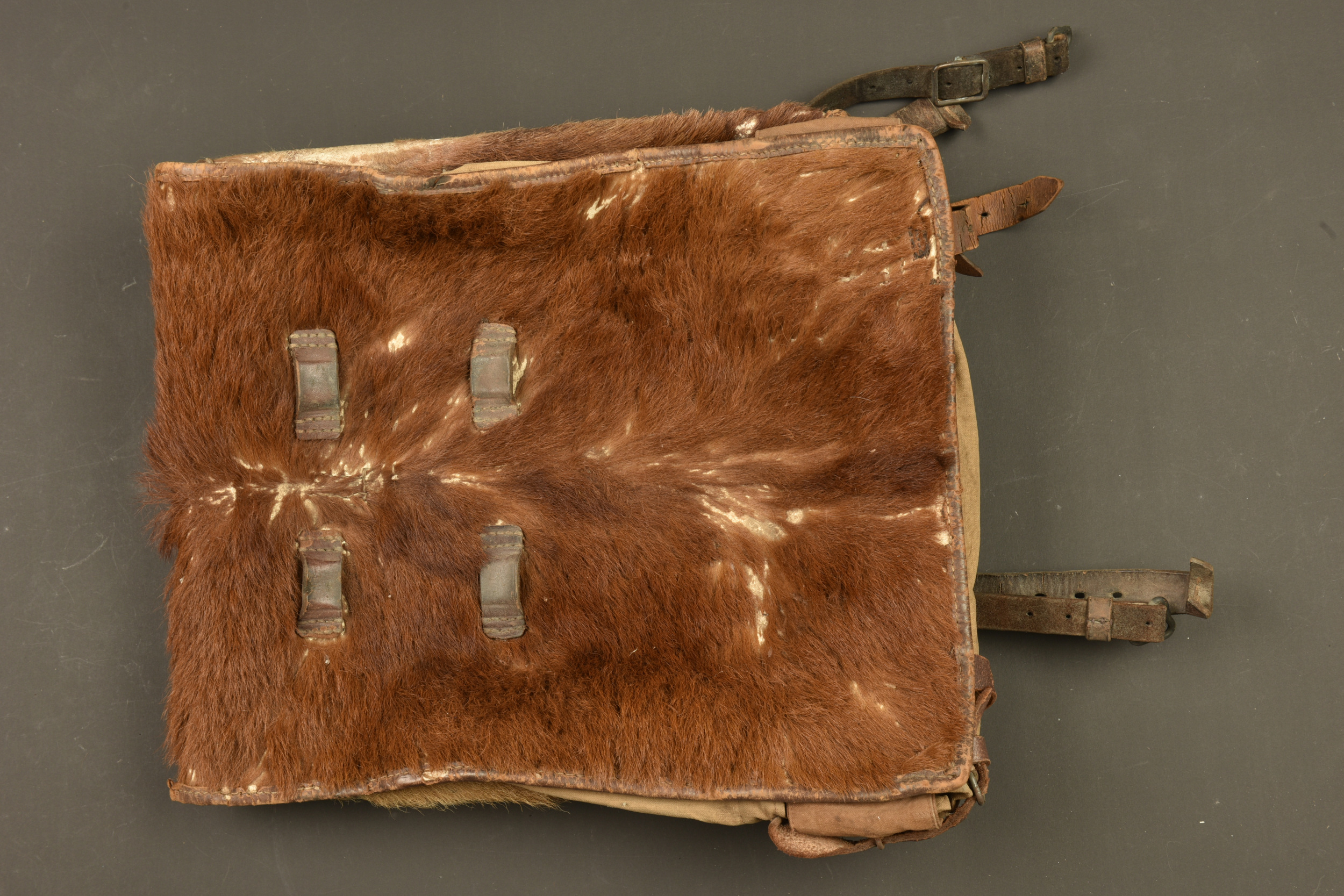 Tornister poil de vache du 100R saxon. Cowhide Tornister backpack of the Saxon 100th Infantry Regiment — photo 1